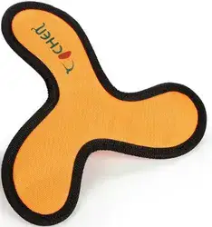 דיסק מעופף עבור אימון ומשחק.