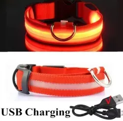 קולר עם תאורה נטען USB. תאורה עם הבזק איטי, פלאש מהיר וגם סטטית. טוב לשיפור הבטיחות ולמניעת תאונה גודל: XL 52-60 cm, רוחב 2.5 ס "מ