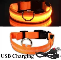 קולר עם תאורה נטען USB. תאורה עם הבזק איטי, פלאש מהיר וגם סטטית. טוב לשיפור הבטיחות ולמניעת תאונה. גודל: M 40-48 cm, רוחב 2.5 ס "מ רוחב 2.5 ס "מ.