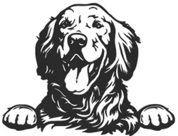 מדבקת כלב Happy dog. גודל: רוחב 18cm.